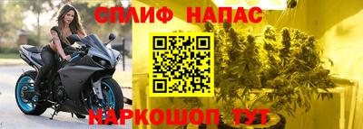 молекула духа Волжск