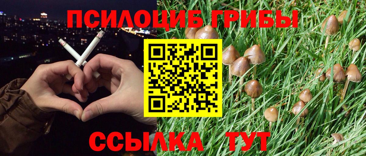 Балашиха  Псилоцибиновые грибы GOLDEN TEACHER  Псилоцибиновые грибы Psilocybine cubensis  Вход с VPN 